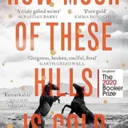 HOW MUCH OF THESE HILLS IS GOLD by C Pam Zhang - Image 1