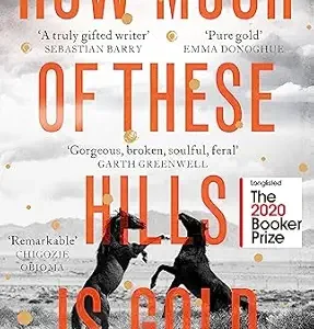 HOW MUCH OF THESE HILLS IS GOLD by C Pam Zhang