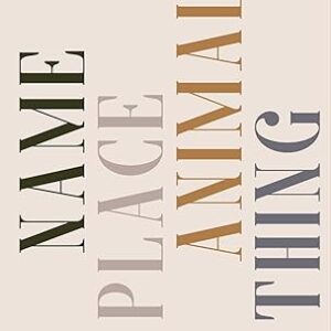 Name Place Animal Thing by Daribha Lyndem‏