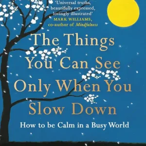 The Things You Can See Only When You Slow Down by Haemin Sunim